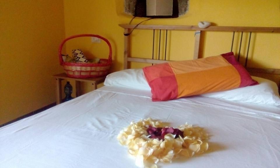 Farmhouse B&B Castagnola 64 Ne Екстериор снимка