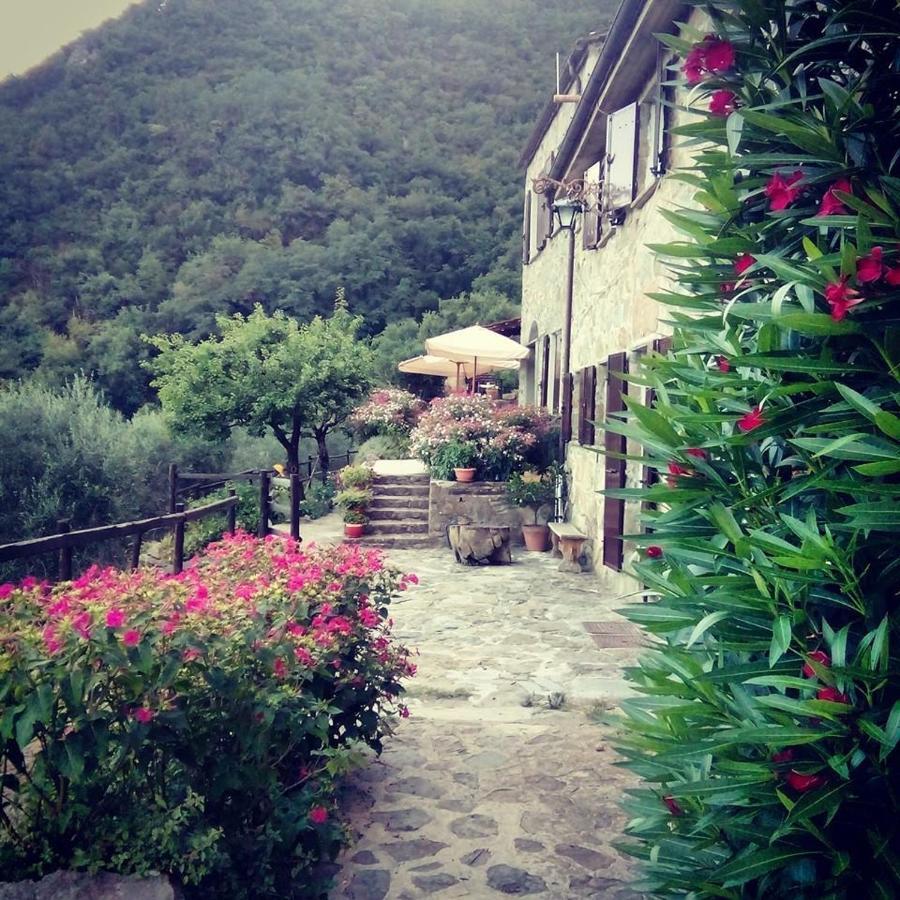 Farmhouse B&B Castagnola 64 Ne Екстериор снимка