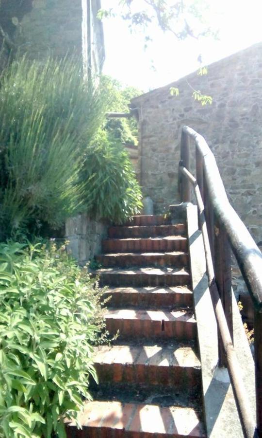 Farmhouse B&B Castagnola 64 Ne Екстериор снимка